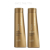 Dầu gội xả dưỡng màu nhuộm joico 300ml